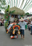 carabao 8