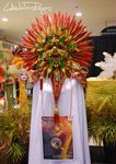 Masskara Festival 2009