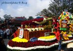 panagbenga 9
