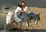 rodeo 4