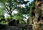 Cagsawa Ruins and Mayon Volcano