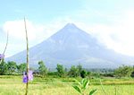 Cagsawa Ruins and Mayon Volcano