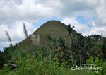 Chocolate Hills 14