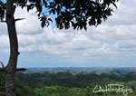 Chocolate Hills 15