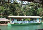 Loboc 1