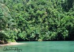 Loboc 13