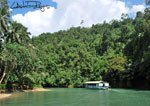 Loboc 14