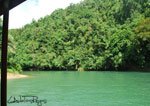 Loboc 15