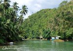 Loboc 16