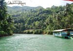 Loboc 19