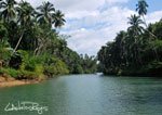 Loboc 20