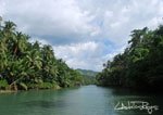 Loboc 21