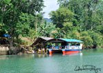 Loboc 22