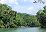 Loboc 23
