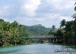 Loboc 3