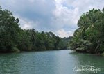 Loboc 4
