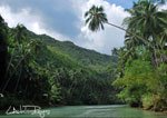 Loboc 5