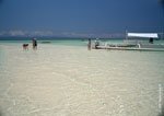 Panglao 48