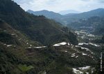 Banaue Rice Terraces