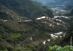 Banaue Rice Terraces