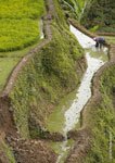 Banaue Rice Terraces