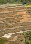 Banaue Rice Terraces