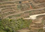 Banaue Rice Terraces