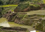 Banaue Rice Terraces