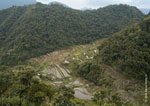 Bangaan Rice Terraces