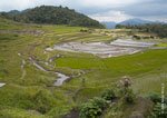 Kiangan Rice Terraces