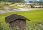 Kiangan Rice Terraces