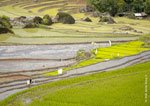 Kiangan Rice Terraces