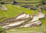 Kiangan Rice Terraces